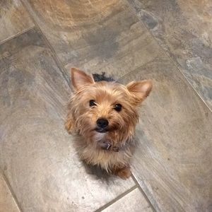 Meet your Posher, Caleigh